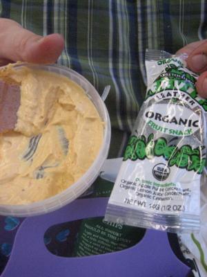 Red pepper hummus and apple fruit leather