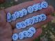 25 Thumbtacks