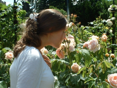 England 177- rose garden 4.jpg