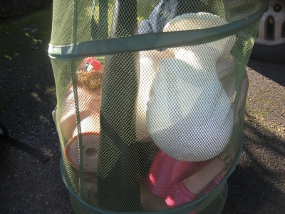 A bag of heads, before I board the bus.  