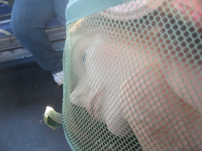 Face life's challenges.