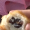 The Nasty Bite The Nasty Bite