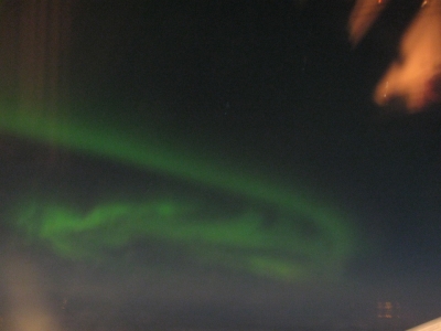 Looks like a dragon to me.