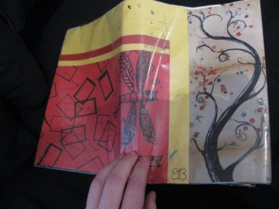 Dragonfly cover Dragonfly cover