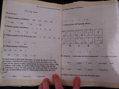 dragonfly  dragonfly