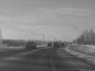 More wilderness, in black and white!