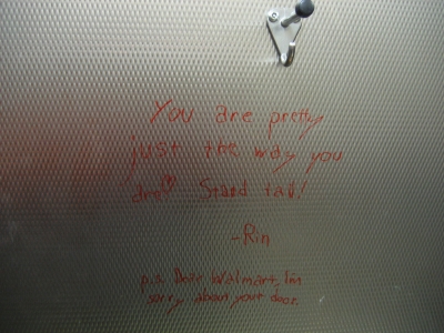I'm sorry about your door...