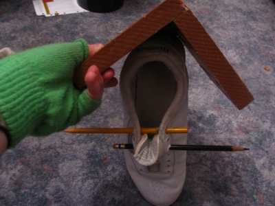 bird shoe