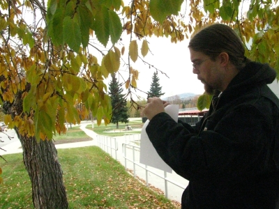 Back on the path to the Tilly (food place)