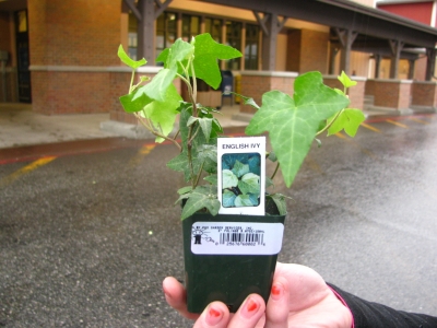 Henry the Fourth Henry the Fourth