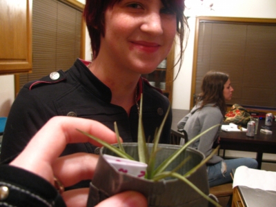 the new plant the new plant