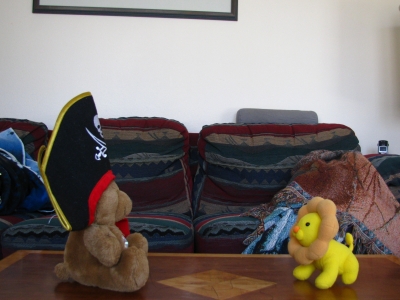 stop motion 311.jpg