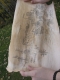 the map