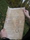 The clues