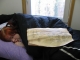 A nap well earned. 