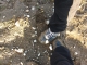 muddy