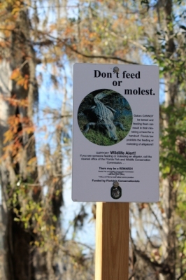 This sign.  This sign.