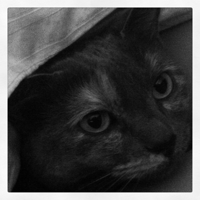 Patches Under the Covers