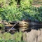 turtle family 