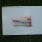 DSCF1872.JPG