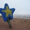 Starfish on Bernal Hill