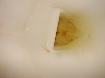 potty