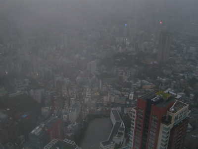 View from the top