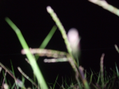 Oops... but still cool