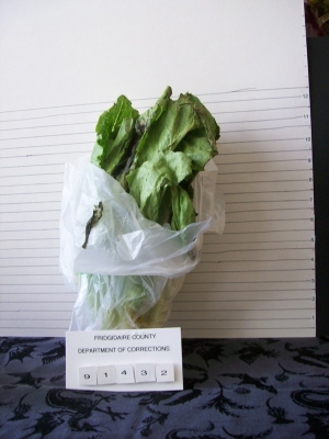 main_21-1000132106141.jpg