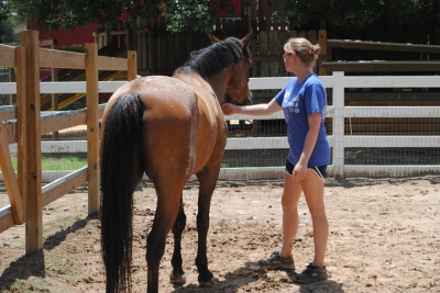 I would steal horses I would steal horses