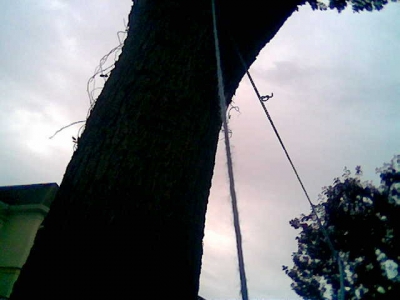 String