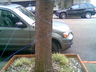 STRING