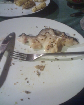 My Leftovers