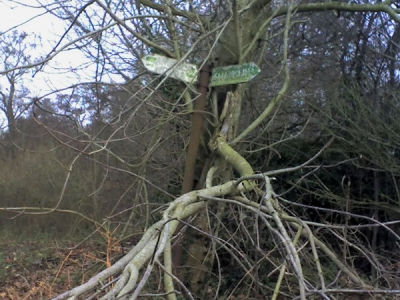Signpost