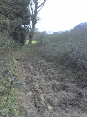 Mud