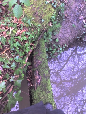 My second bridge over my stream
