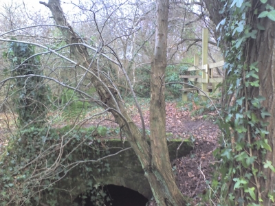 Bridge over my stream