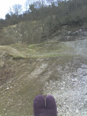 The old chalk quarry