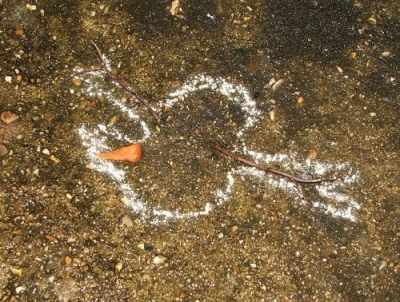 What remains after the snow leaves