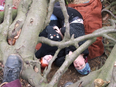 Inside the roots