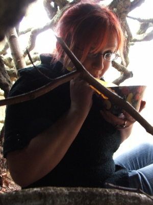 Breakfast IN a tree
