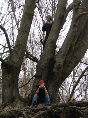 Tee in a Tree.