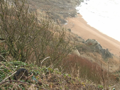 Islands only nudist beach