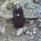 SPPBB found white stuff. 