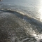 water19.jpg