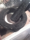 My stone grinder will need a proper clean after this.