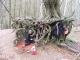 Our breakfast camp