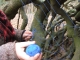 Weaving a web