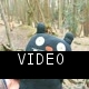 Singing in a tree