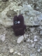 SPPBB found white stuff. 